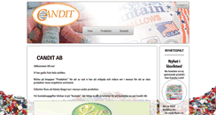 Desktop Screenshot of candit.se